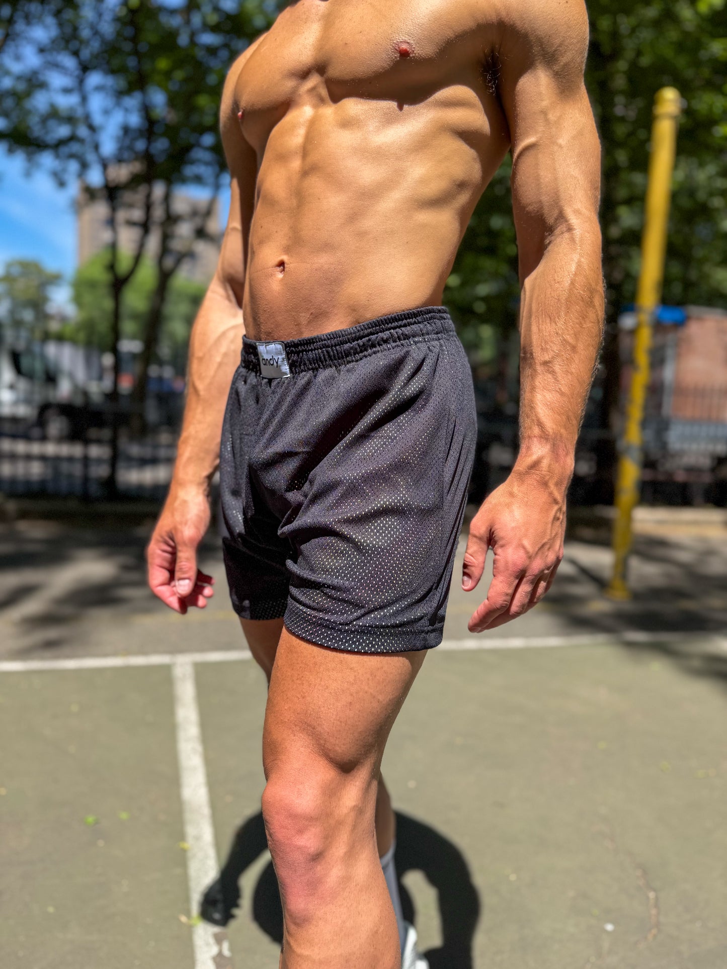 Mirage Mesh Shorts